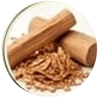Bamboo-less Dhoop Sticks — Chandan view 2