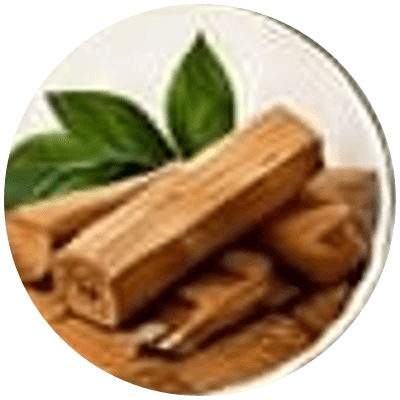 Bamboo-less Dhoop Sticks — Sandalwood fragrance note illustration